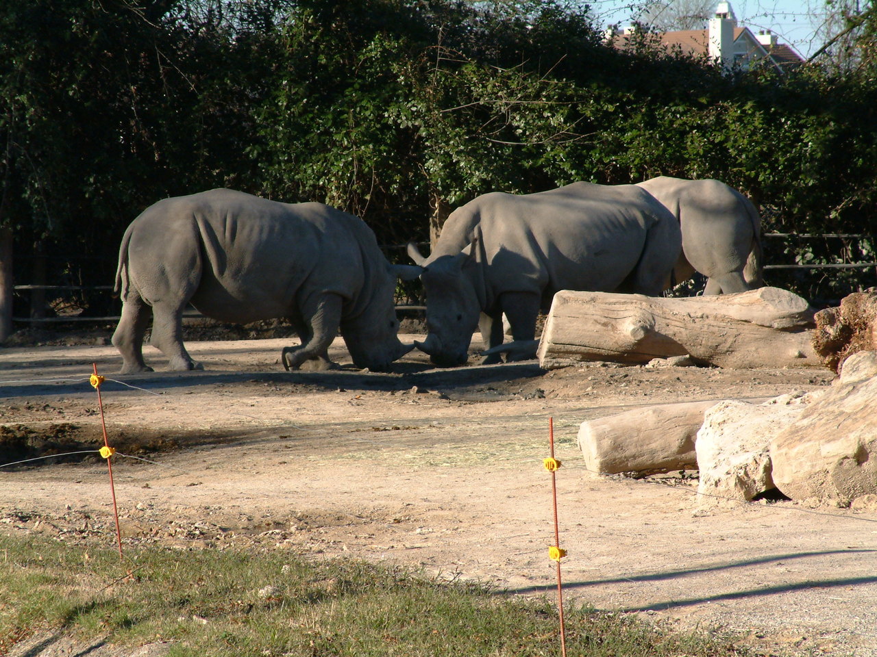 Ft_Worth_Zoo2_12-23-01_011.jpg