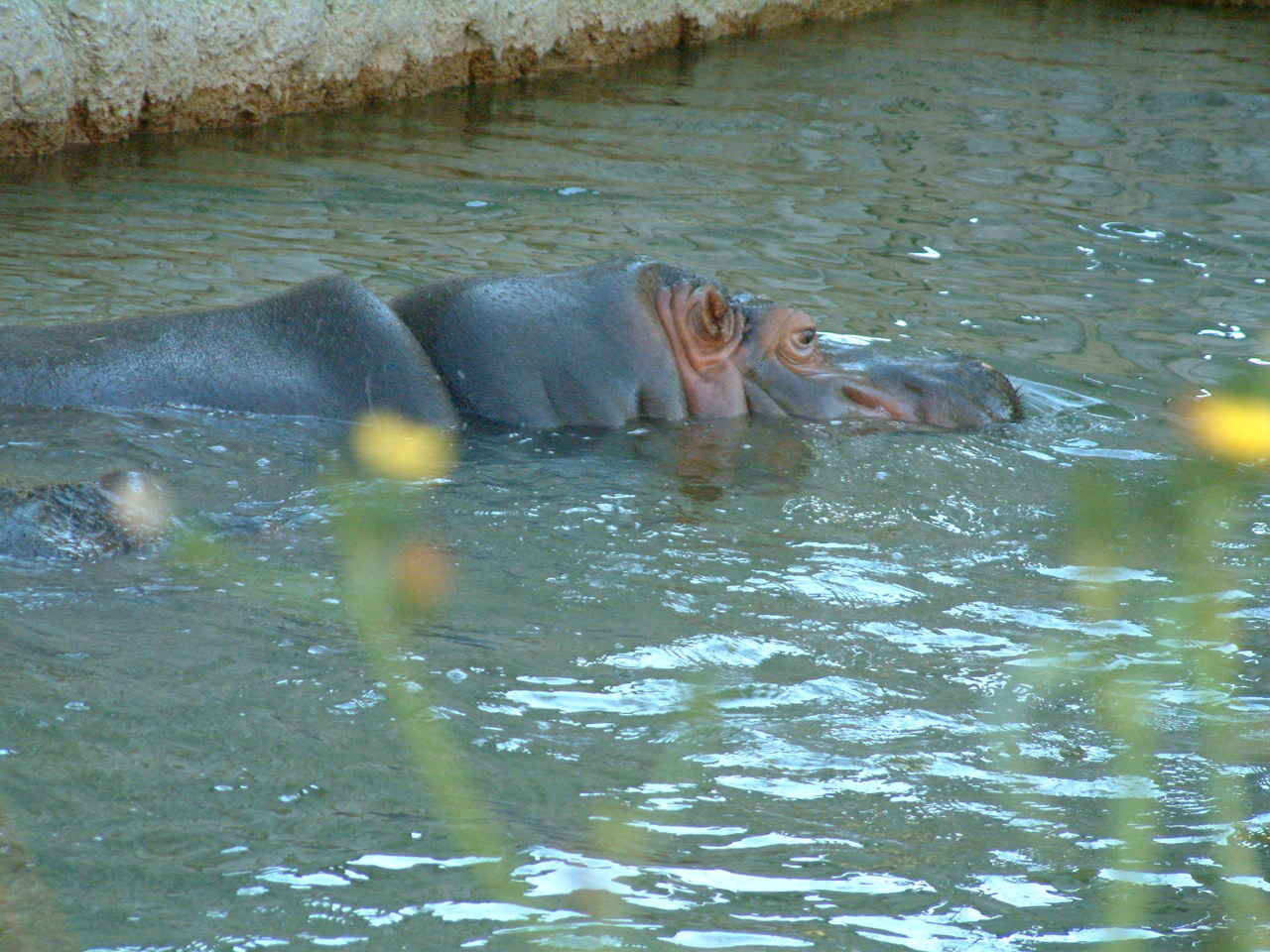 Ft_Worth_Zoo2_12-23-01_030.jpg