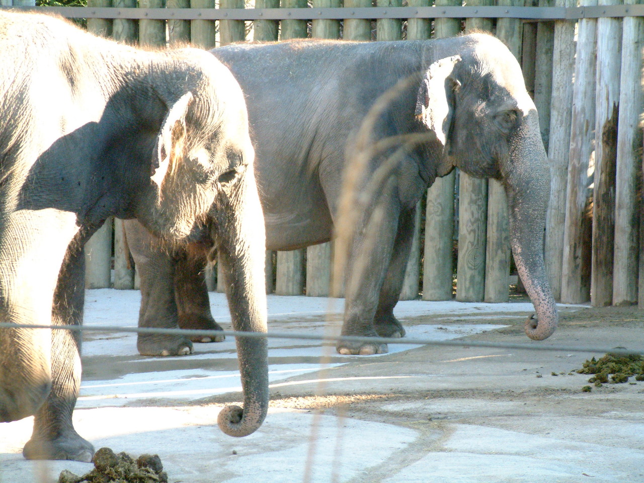 Ft_Worth_Zoo2_12-23-01_031.jpg