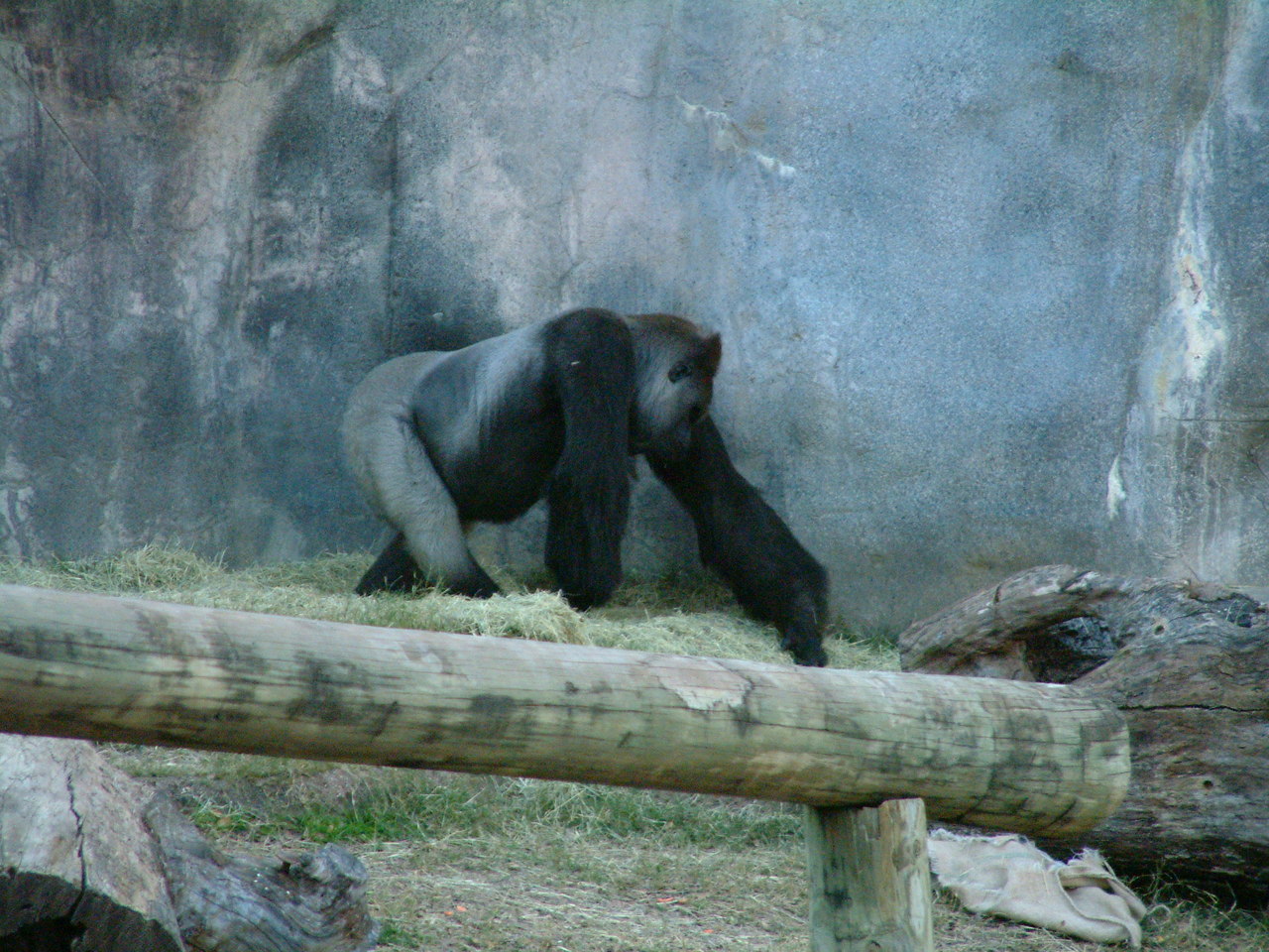 Ft_Worth_Zoo2_12-23-01_041.jpg