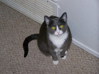 Filename=100_2410.JPG
Filesize=1514KiB
Dimensions=2832x2128
Date added=Sep 28, 2019 100_2410.JPG