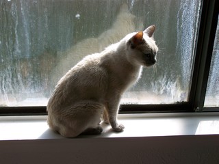 Filename=100_2415.JPG
Filesize=1292KiB
Dimensions=2832x2128
Date added=Sep 28, 2019 100_2415.JPG