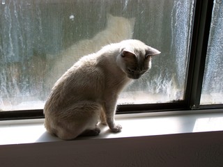 Filename=100_2416.JPG
Filesize=1298KiB
Dimensions=2832x2128
Date added=Sep 28, 2019 100_2416.JPG