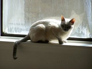 Filename=100_2420.JPG
Filesize=1015KiB
Dimensions=2832x2128
Date added=Sep 28, 2019 100_2420.JPG