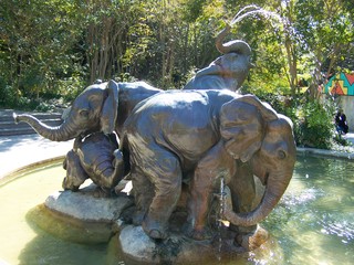 Filename=100_2427.JPG
Filesize=2193KiB
Dimensions=2832x2128
Date added=Sep 28, 2019 100_2427.JPG