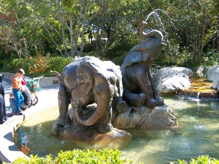 Filename=100_2430.JPG
Filesize=2338KiB
Dimensions=2832x2128
Date added=Sep 28, 2019 100_2430.JPG