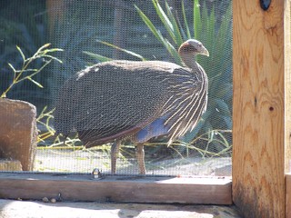 Filename=100_2438.JPG
Filesize=2220KiB
Dimensions=2832x2128
Date added=Sep 28, 2019 100_2438.JPG