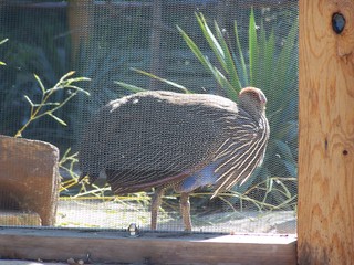 Filename=100_2439.JPG
Filesize=2268KiB
Dimensions=2832x2128
Date added=Sep 28, 2019 100_2439.JPG