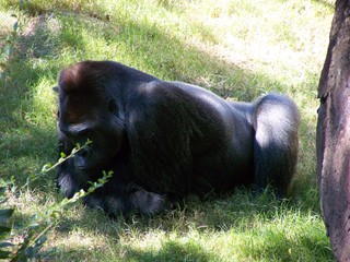 Filename=100_2440.JPG
Filesize=2456KiB
Dimensions=2832x2128
Date added=Sep 28, 2019 100_2440.JPG