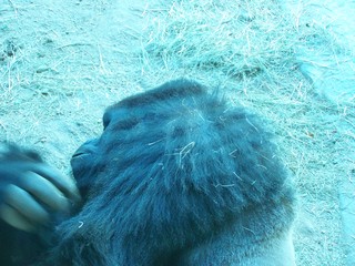 Filename=100_2444.JPG
Filesize=2347KiB
Dimensions=2832x2128
Date added=Sep 28, 2019 100_2444.JPG