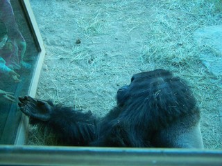 Filename=100_2445.JPG
Filesize=2265KiB
Dimensions=2832x2128
Date added=Sep 28, 2019 100_2445.JPG