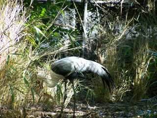 Filename=100_2448.JPG
Filesize=2608KiB
Dimensions=2832x2128
Date added=Sep 28, 2019 100_2448.JPG