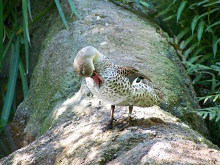 Filename=100_2456.JPG
Filesize=2041KiB
Dimensions=2832x2128
Date added=Sep 28, 2019 100_2456.JPG