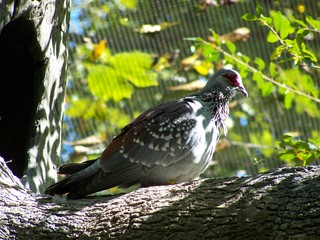 Filename=100_2461.JPG
Filesize=1677KiB
Dimensions=2832x2128
Date added=Sep 28, 2019 100_2461.JPG