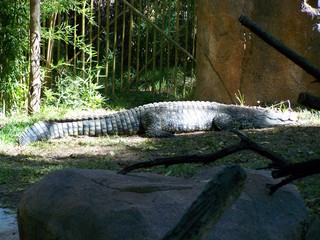 Filename=100_2464.JPG
Filesize=2413KiB
Dimensions=2832x2128
Date added=Sep 28, 2019 100_2464.JPG