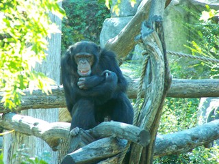 Filename=100_2466.JPG
Filesize=1668KiB
Dimensions=2832x2128
Date added=Sep 28, 2019 100_2466.JPG