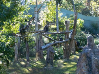 Filename=100_2467.JPG
Filesize=2888KiB
Dimensions=2832x2128
Date added=Sep 28, 2019 100_2467.JPG