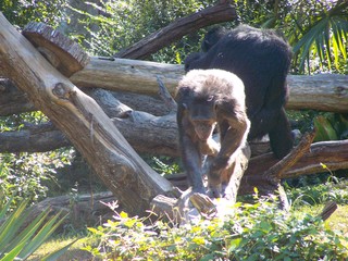 Filename=100_2470.JPG
Filesize=2350KiB
Dimensions=2832x2128
Date added=Sep 28, 2019 100_2470.JPG