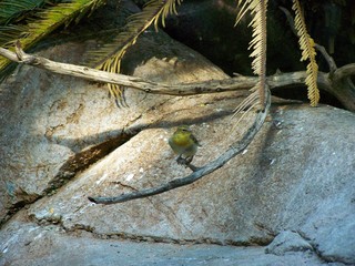 Filename=100_2473.JPG
Filesize=2150KiB
Dimensions=2832x2128
Date added=Sep 28, 2019 100_2473.JPG