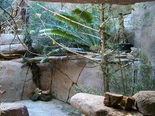 Filename=100_2475.JPG
Filesize=2657KiB
Dimensions=2832x2128
Date added=Sep 28, 2019 100_2475.JPG