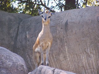 Filename=100_2479.JPG
Filesize=1681KiB
Dimensions=2832x2128
Date added=Sep 28, 2019 100_2479.JPG