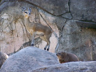 Filename=100_2482.JPG
Filesize=2051KiB
Dimensions=2832x2128
Date added=Sep 28, 2019 100_2482.JPG