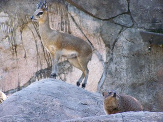 Filename=100_2485.JPG
Filesize=1632KiB
Dimensions=2832x2128
Date added=Sep 28, 2019 100_2485.JPG