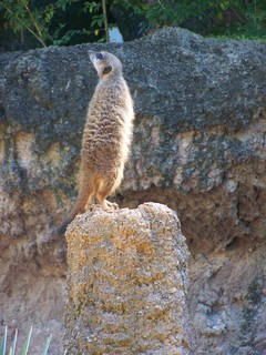 Filename=100_2489.JPG
Filesize=2007KiB
Dimensions=2128x2832
Date added=Sep 28, 2019 100_2489.JPG