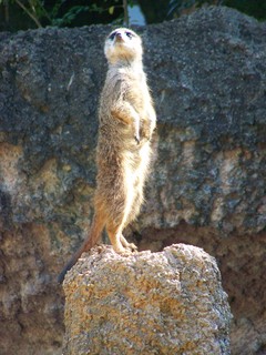 Filename=100_2492.JPG
Filesize=1964KiB
Dimensions=2128x2832
Date added=Sep 28, 2019 100_2492.JPG