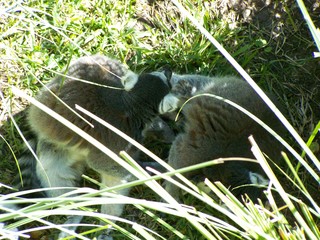 Filename=100_2502.JPG
Filesize=2075KiB
Dimensions=2832x2128
Date added=Sep 28, 2019 100_2502.JPG