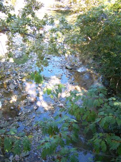 Filename=100_2509.JPG
Filesize=2618KiB
Dimensions=2128x2832
Date added=Sep 28, 2019 100_2509.JPG