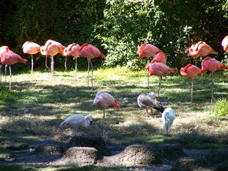 Filename=100_2511.JPG
Filesize=2588KiB
Dimensions=2832x2128
Date added=Sep 28, 2019 100_2511.JPG