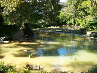 Filename=100_2515.JPG
Filesize=2303KiB
Dimensions=2832x2128
Date added=Sep 28, 2019 100_2515.JPG