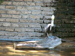 Filename=100_2516.JPG
Filesize=2135KiB
Dimensions=2832x2128
Date added=Sep 28, 2019 100_2516.JPG