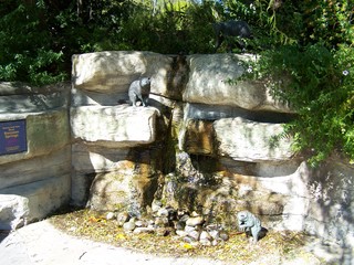 Filename=100_2519.JPG
Filesize=2207KiB
Dimensions=2832x2128
Date added=Sep 28, 2019 100_2519.JPG