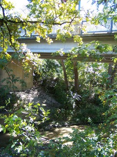 Filename=100_2522.JPG
Filesize=2781KiB
Dimensions=2128x2832
Date added=Sep 28, 2019 100_2522.JPG