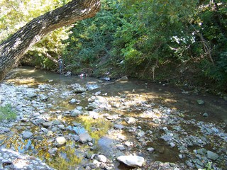 Filename=100_2523.JPG
Filesize=2819KiB
Dimensions=2832x2128
Date added=Sep 28, 2019 100_2523.JPG