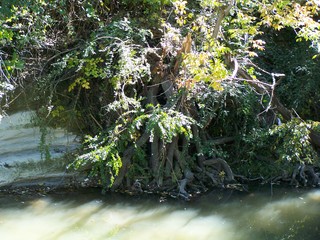 Filename=100_2525.JPG
Filesize=2515KiB
Dimensions=2832x2128
Date added=Sep 28, 2019 100_2525.JPG