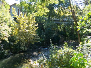 Filename=100_2526.JPG
Filesize=2948KiB
Dimensions=2832x2128
Date added=Sep 28, 2019 100_2526.JPG