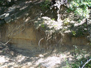 Filename=100_2527.JPG
Filesize=2647KiB
Dimensions=2832x2128
Date added=Sep 28, 2019 100_2527.JPG