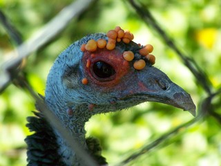 Filename=100_2532.JPG
Filesize=1461KiB
Dimensions=2832x2128
Date added=Sep 28, 2019 100_2532.JPG