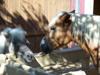 Filename=100_2537.JPG
Filesize=1305KiB
Dimensions=2832x2128
Date added=Sep 28, 2019 100_2537.JPG