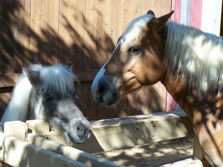 Filename=100_2538.JPG
Filesize=1301KiB
Dimensions=2832x2128
Date added=Sep 28, 2019 100_2538.JPG