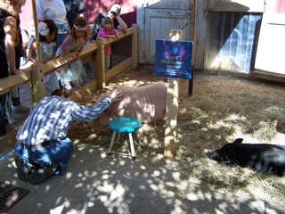 Filename=100_2541.JPG
Filesize=1872KiB
Dimensions=2832x2128
Date added=Sep 28, 2019 100_2541.JPG