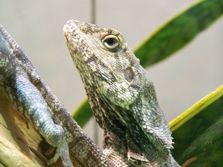 Filename=100_2554.JPG
Filesize=1608KiB
Dimensions=2832x2128
Date added=Sep 28, 2019 100_2554.JPG