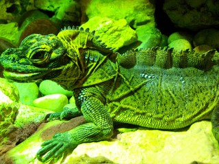 Filename=100_2562.JPG
Filesize=2034KiB
Dimensions=2832x2128
Date added=Sep 28, 2019 100_2562.JPG