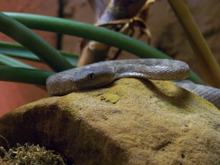 Filename=100_2566.JPG
Filesize=1833KiB
Dimensions=2832x2128
Date added=Sep 28, 2019 100_2566.JPG