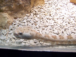 Filename=100_2570.JPG
Filesize=1614KiB
Dimensions=2832x2128
Date added=Sep 28, 2019 100_2570.JPG