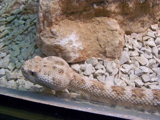 Filename=100_2571.JPG
Filesize=1669KiB
Dimensions=2832x2128
Date added=Sep 28, 2019 100_2571.JPG