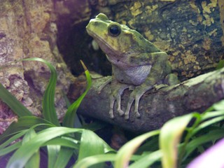 Filename=100_2572.JPG
Filesize=1633KiB
Dimensions=2832x2128
Date added=Sep 28, 2019 100_2572.JPG